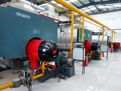 WNS燃油燃?xì)庹羝仩t